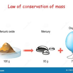 Law of conservation of mass worksheet answer key